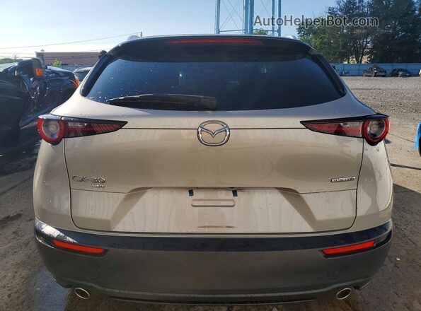 3MVDMBDM5PM526192 2023 MAZDA CX-30 Silver უკანა ხედი