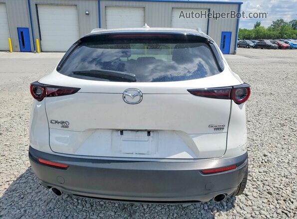 3MVDMBDY3NM438855 2022 MAZDA CX-30 White Rear view