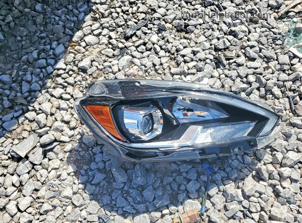 3N1AB7AP2KY422107 2019 NISSAN SENTRA Red Engine compartment view