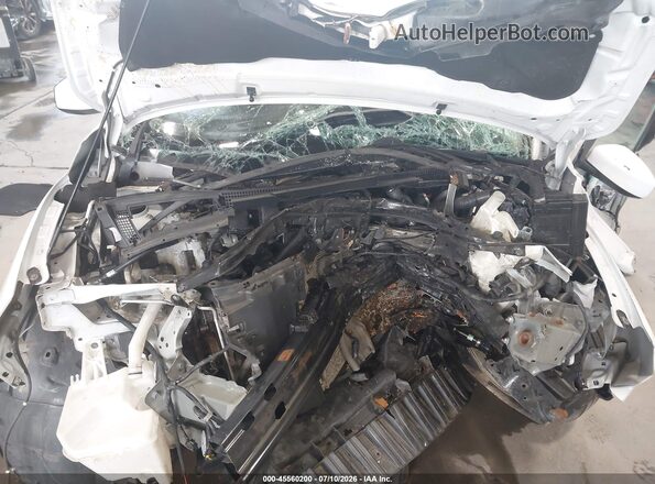 3N1AB7AP8KY305888 2019 NISSAN SENTRA Белый Вид сзади