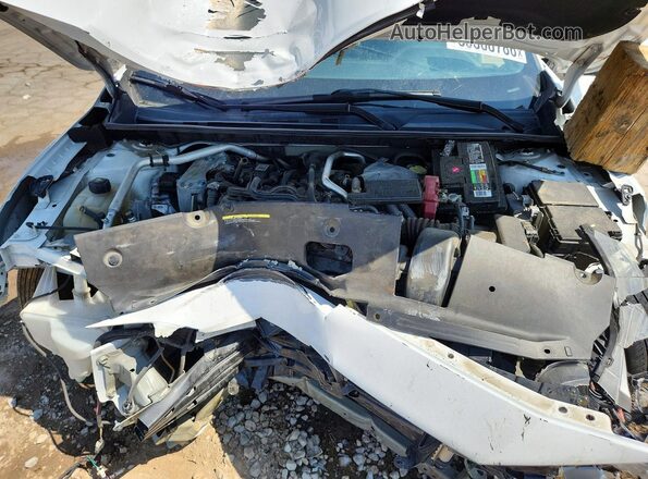 3N1AB8CV9LY301853 2020 NISSAN SENTRA Белый Вид задней части салона