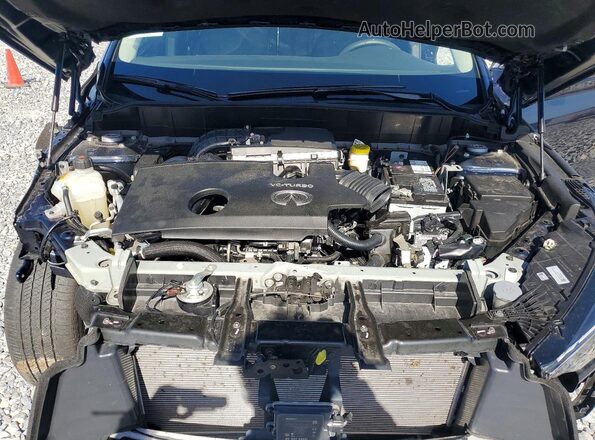 3PCAJ5BB2SF107973 2025 INFINITI QX50 Blue Вид задньої частини салону