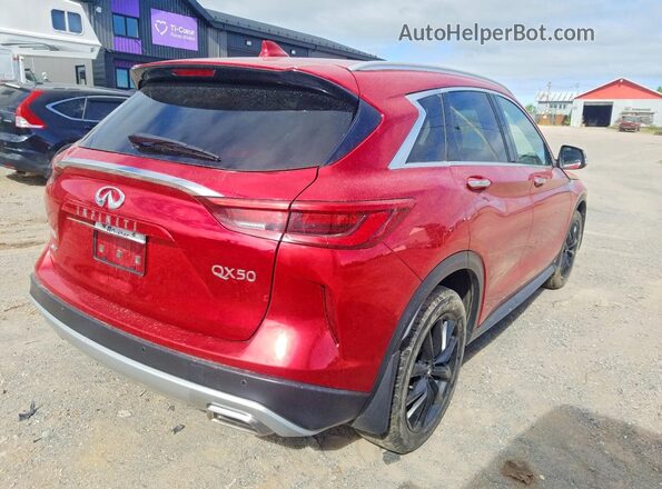 3PCAJ5BB3MF117009 2021 INFINITI QX50 Red Tył prawy