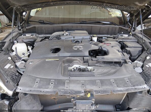3PCAJ5CB6MF113731 2021 INFINITI QX50 Черный Вид сзади
