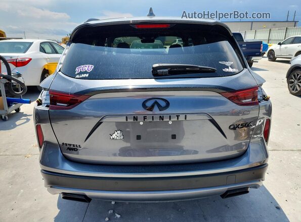 3PCAJ5FB1SF109823 2025 INFINITI QX50 Silver Հետևի տեսք
