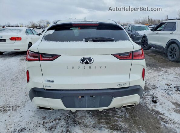 3PCAJ5K32NF101832 2022 INFINITI QX55 Cream Vista trasera