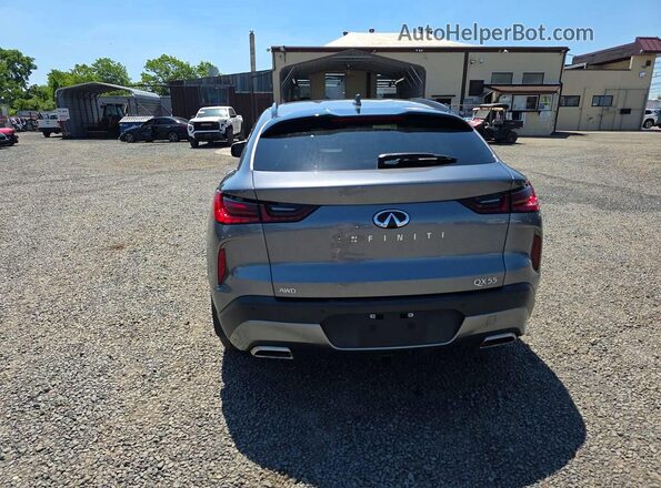 3PCAJ5LR9RF108740 2024 INFINITI QX55 Silver Հետևի տեսք