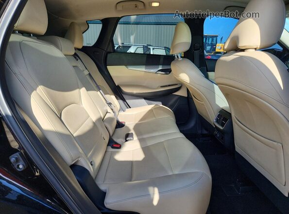 3PCAJ5M11KF130522 2019 INFINITI QX50 Black Вид задньої частини салону