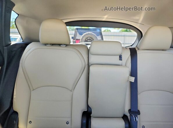 3PCAJ5M30LF104870 2020 INFINITI QX50 Blue Հետևի նստատեղերի տեսք