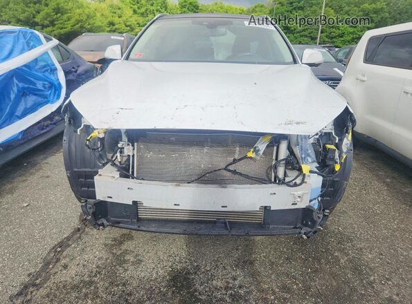 3PCAJ5M31KF116248 2019 INFINITI QX50 White Front view