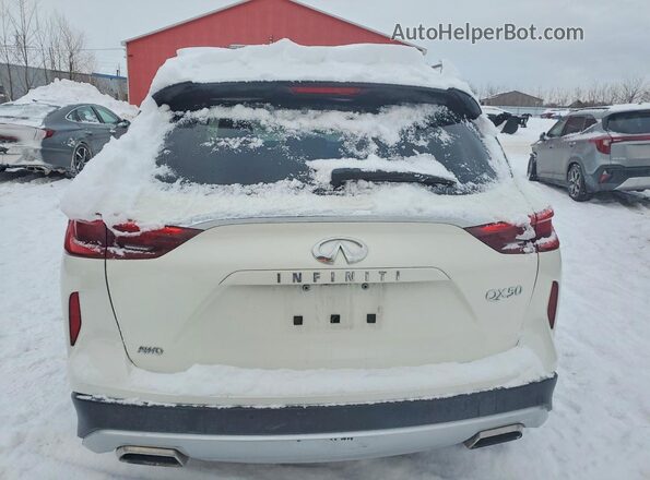 3PCAJ5M32KF145791 2019 INFINITI QX50 White Вид ззаду