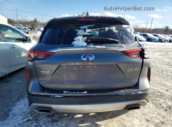 3PCAJ5M33KF110483 2019 INFINITI QX50 Gray Вид ззаду