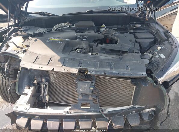 3PCAJ5M33KF126831 2019 INFINITI QX50 Black Vista trasera