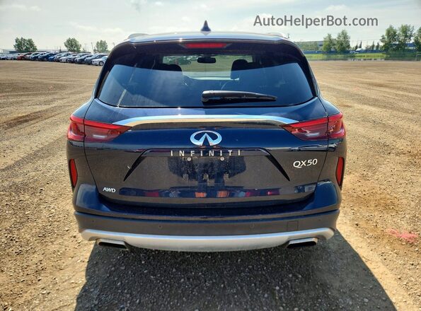 3PCAJ5M33KF144519 2019 INFINITI QX50 Blue უკანა ხედი