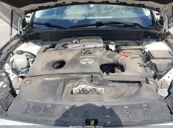 3PCAJ5M35KF116950 2019 INFINITI QX50 Белый Вид сзади