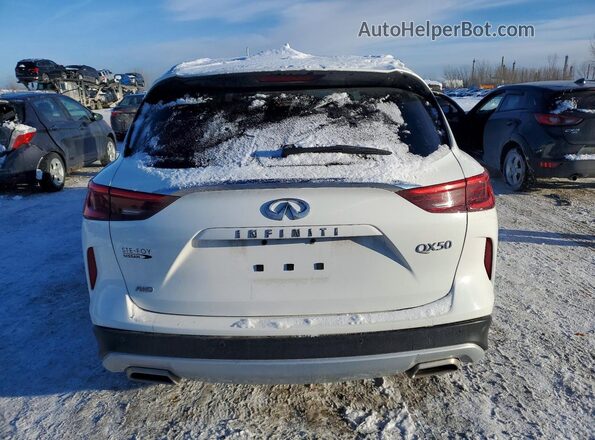 3PCAJ5M35KF126667 2019 INFINITI QX50 White Rear view