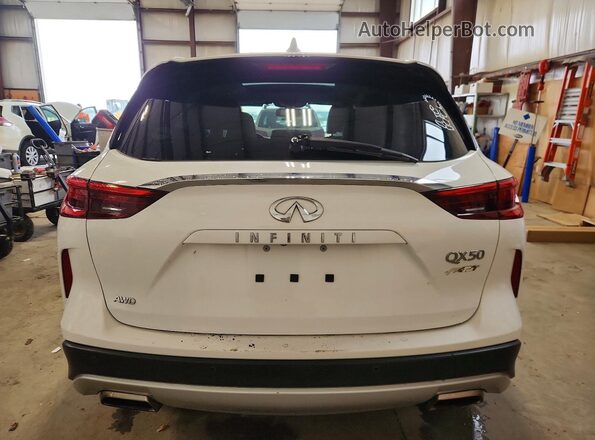 3PCAJ5M37KF110177 2019 INFINITI QX50 White Rear view