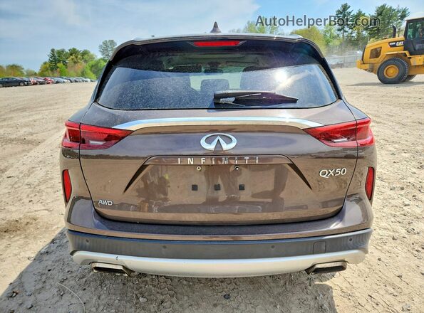 3PCAJ5M37KF110633 2019 INFINITI QX50 Brown Vista trasera