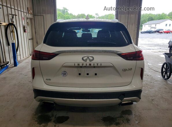 3PCAJ5M37LF102291 2020 INFINITI QX50 White Հետևի տեսք