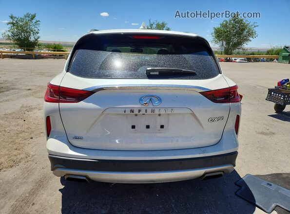 3PCAJ5M37LF120838 2020 INFINITI QX50 Кремовый Вид сзади