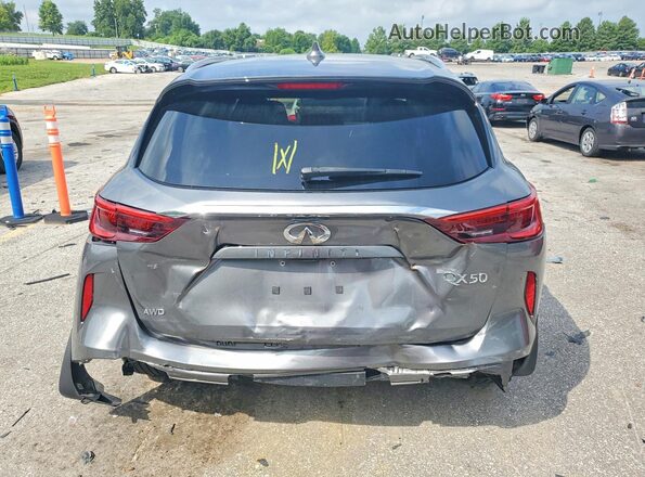 3PCAJ5M3XKF120895 2019 INFINITI QX50 Gray Հետևի տեսք