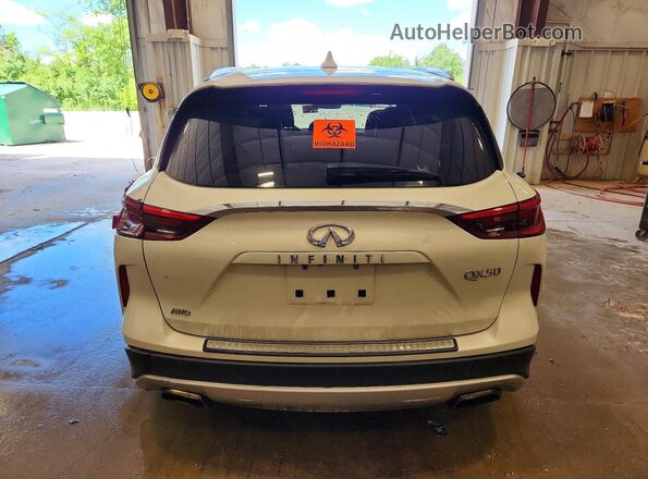 3PCAJ5M3XKF137177 2019 INFINITI QX50 White Rear view