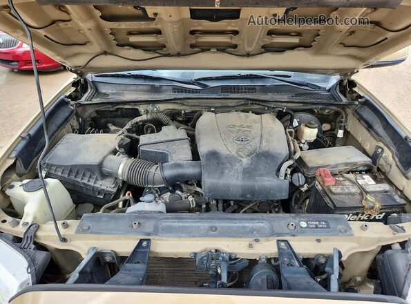 3TMAZ5CN0KM084318 2019 TOYOTA TACOMA Gold Սալոնի հետևի տեսք
