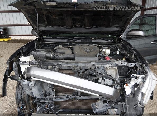 3TMAZ5CN0PM202097 2023 TOYOTA TACOMA Gray Widok z tyłu