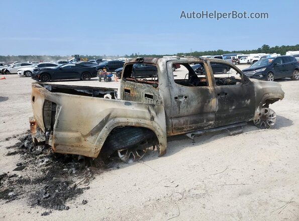 3TMAZ5CN8PM204731 2023 TOYOTA TACOMA Burn Rear right