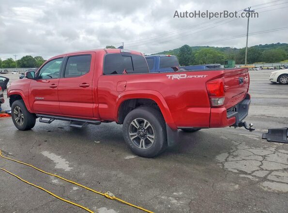 3TMBZ5DN2HM006926 2017 TOYOTA TACOMA Maroon Задня ліва чверть