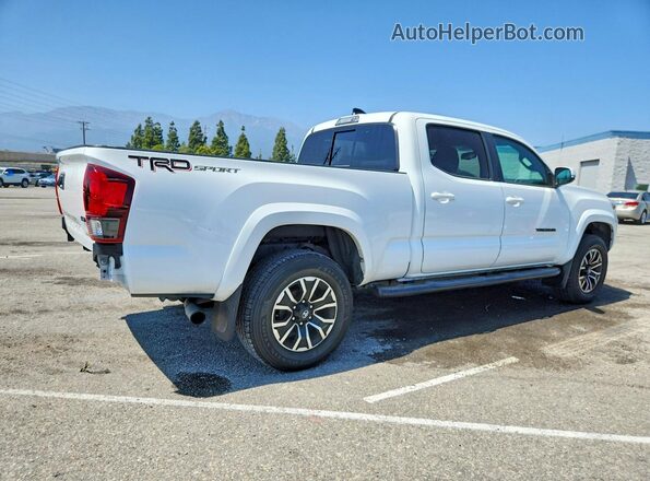 3TMBZ5DN3PM040257 2023 TOYOTA TACOMA White Tył prawy