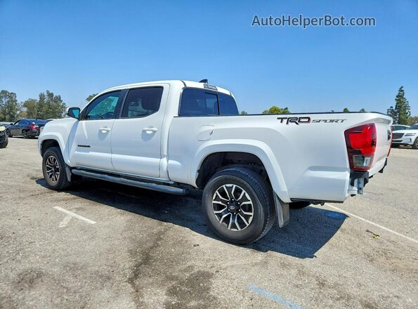 3TMBZ5DN3PM040257 2023 TOYOTA TACOMA White Tył lewy