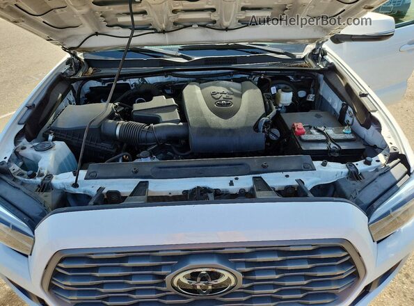 3TMBZ5DN3PM040257 2023 TOYOTA TACOMA White Widok wnętrza z tyłu