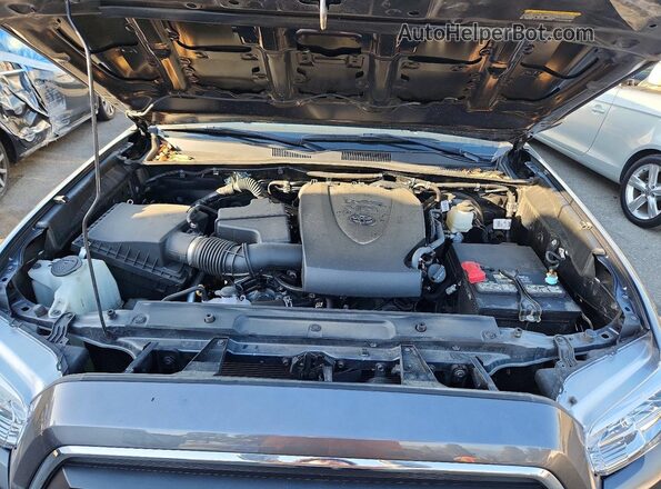 3TMBZ5DN5PM037991 2023 TOYOTA TACOMA Charcoal უკანა სალონის ხედი