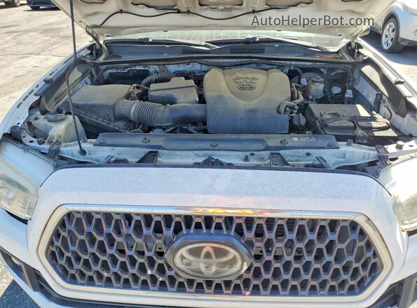 3TMBZ5DN6KM017919 2019 TOYOTA TACOMA White Սալոնի հետևի տեսք
