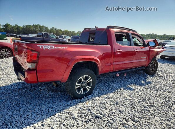 3TMBZ5DN7JM016387 2018 TOYOTA TACOMA Red Задня права чверть
