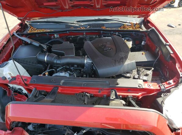 3TMBZ5DNXPM038635 2023 TOYOTA TACOMA Maroon უკანა სალონის ხედი