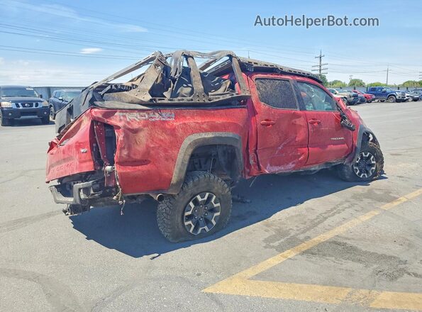 3TMCZ5AN0HM058466 2017 TOYOTA TACOMA Красный Задняя правая четверть