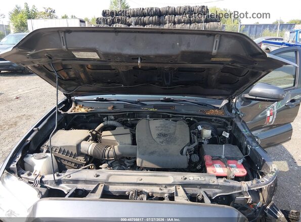 3TMCZ5AN0HM102367 2017 TOYOTA TACOMA Gray Вид ззаду