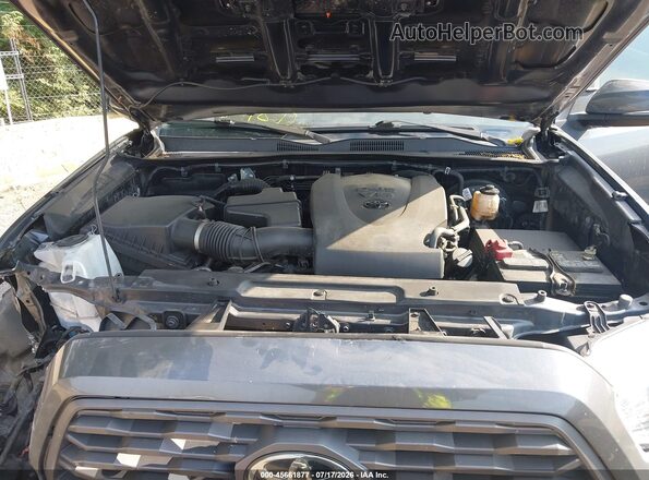 3TMCZ5AN0MM412495 2021 TOYOTA TACOMA Gray Вид ззаду