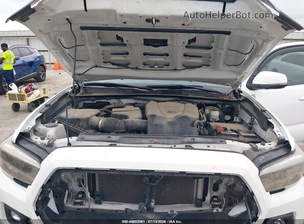 3TMCZ5AN0MM445528 2021 TOYOTA TACOMA White Հետևի տեսք