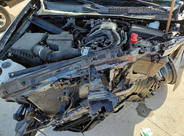 3TMCZ5AN0PM587351 2023 TOYOTA TACOMA Серый Вид задней части салона