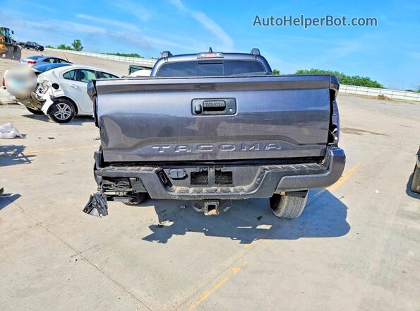 3TMCZ5AN0PM587351 2023 TOYOTA TACOMA Серый Вид сзади