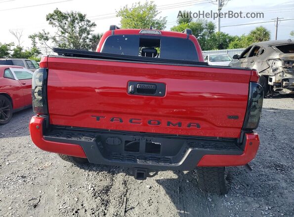 3TMCZ5AN0PM588919 2023 TOYOTA TACOMA Red Հետևի տեսք