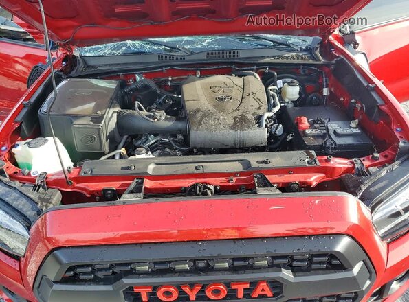 3TMCZ5AN0PM588919 2023 TOYOTA TACOMA Red Սալոնի հետևի տեսք