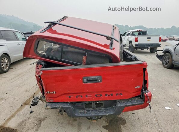 3TMCZ5AN0PM615262 2023 TOYOTA TACOMA Red Widok z tyłu
