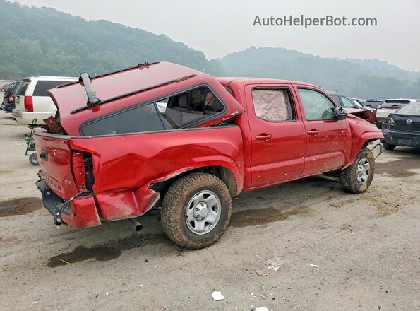 3TMCZ5AN0PM615262 2023 TOYOTA TACOMA Red Tył prawy