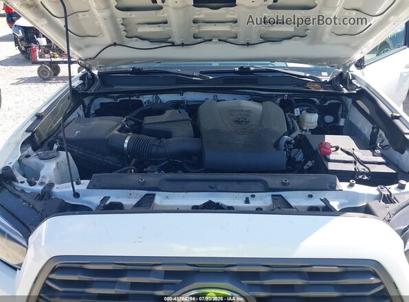 3TMCZ5AN0PM623605 2023 TOYOTA TACOMA White Widok z tyłu