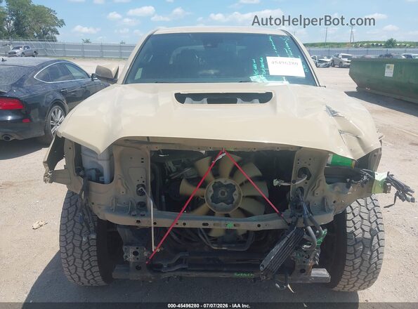 3TMCZ5AN1KM236229 2019 TOYOTA TACOMA Tan Սալոնի հետևի տեսք