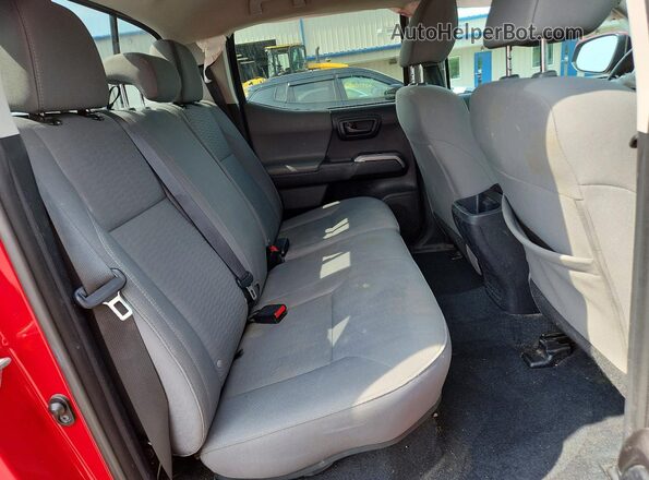 3TMCZ5AN1KM266041 2019 TOYOTA TACOMA Red Հետևի նստատեղերի տեսք